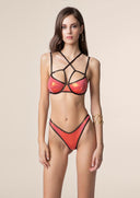 Woman bikini Me fui Reggio Emilia with ferrett and a American fixed American briefs 0803_ or